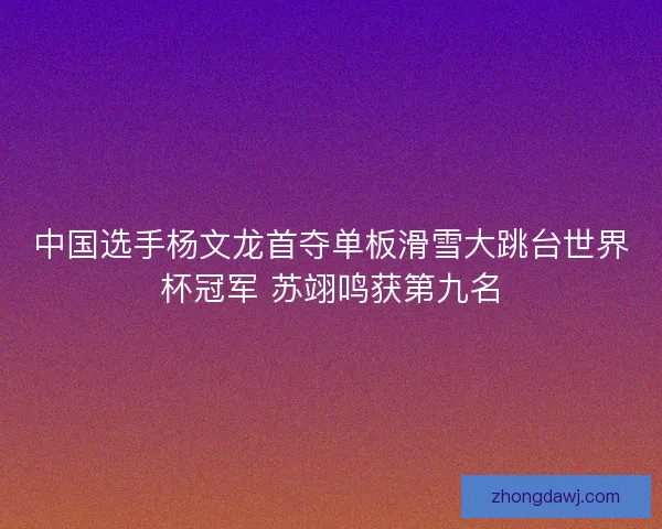 中国选手杨文龙首夺单板滑雪大跳台世界杯冠军 苏翊鸣获第九名